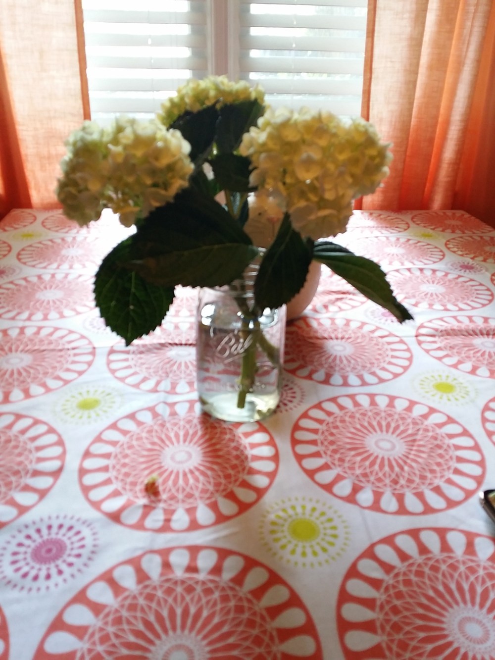 IMG_20140608_094148.jpg image